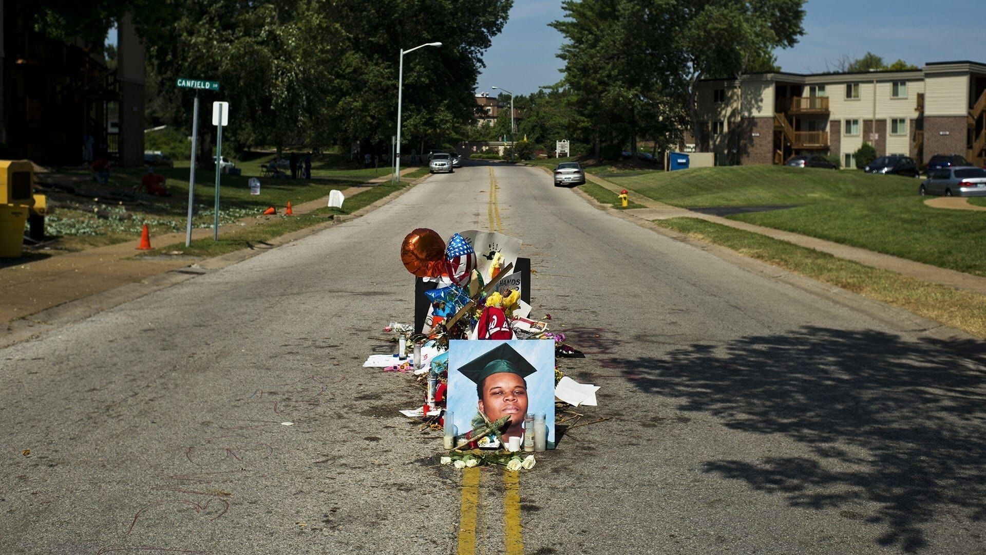 Cubierta de What Killed Michael Brown?