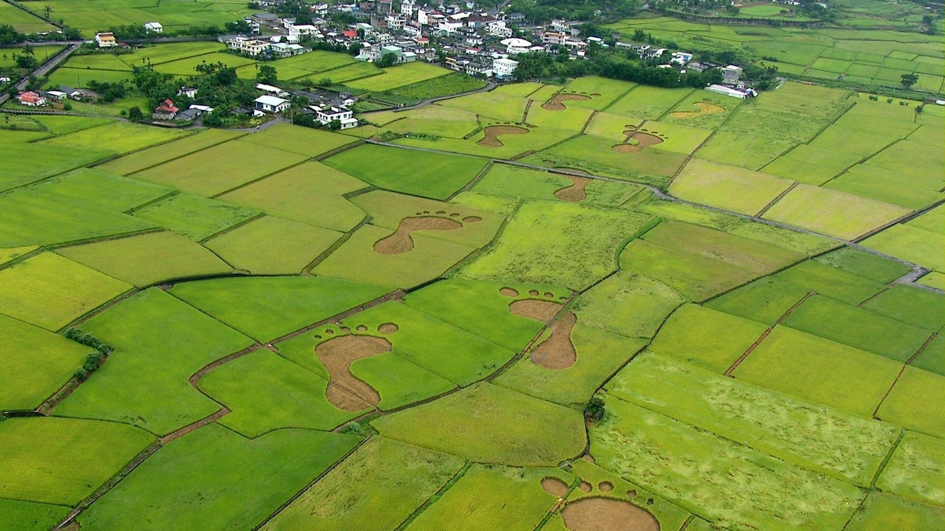 Cubierta de Beyond Beauty: Taiwan from Above