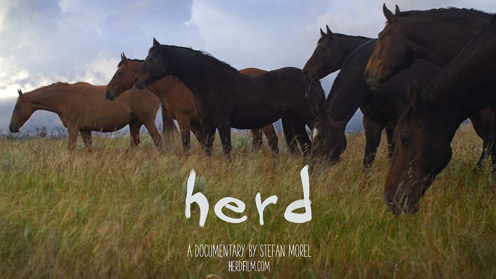 Cubierta de Herd