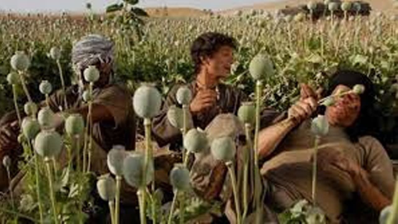 Cubierta de Opium War (La guerra del opio)