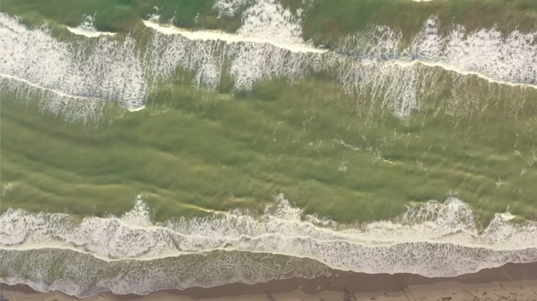 Cubierta de Sara: La fuerza del mar