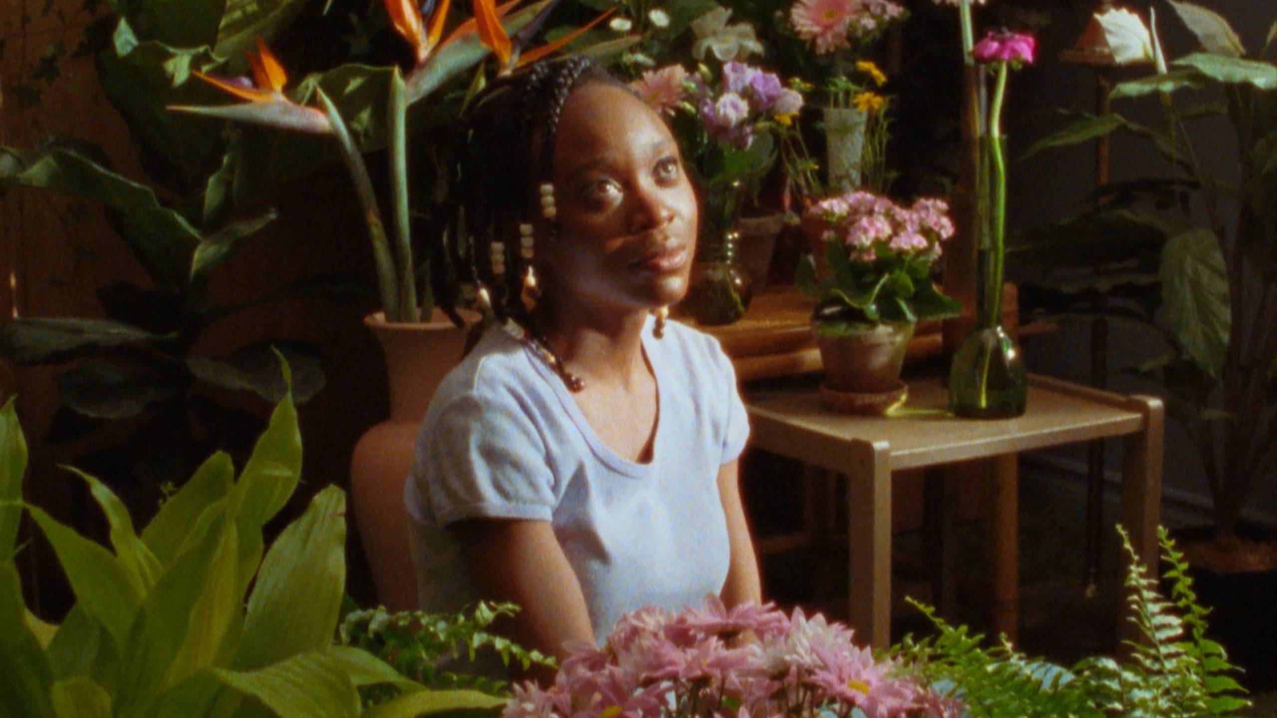 Cubierta de This House