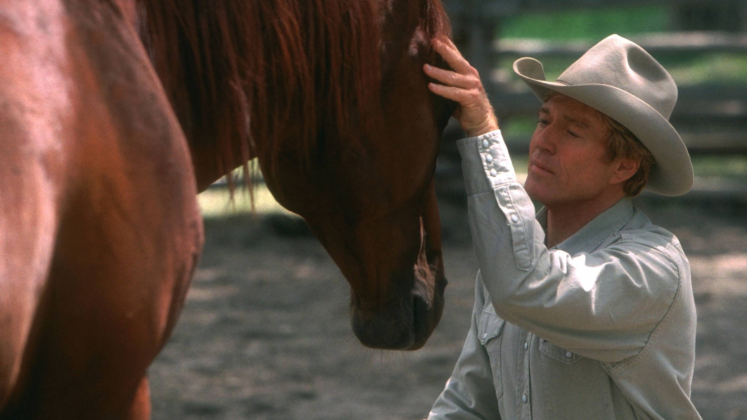 Cubierta de El hombre que susurraba a los caballos