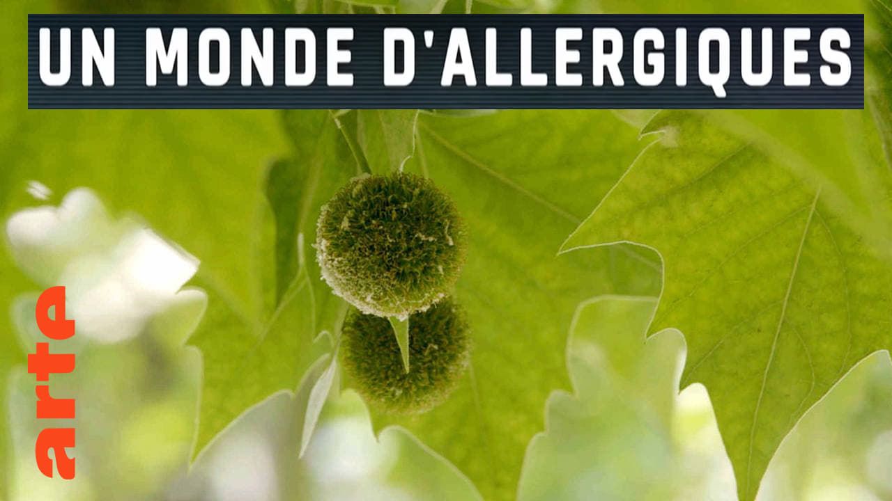 Cubierta de Alergias, la paranoia inmunológica