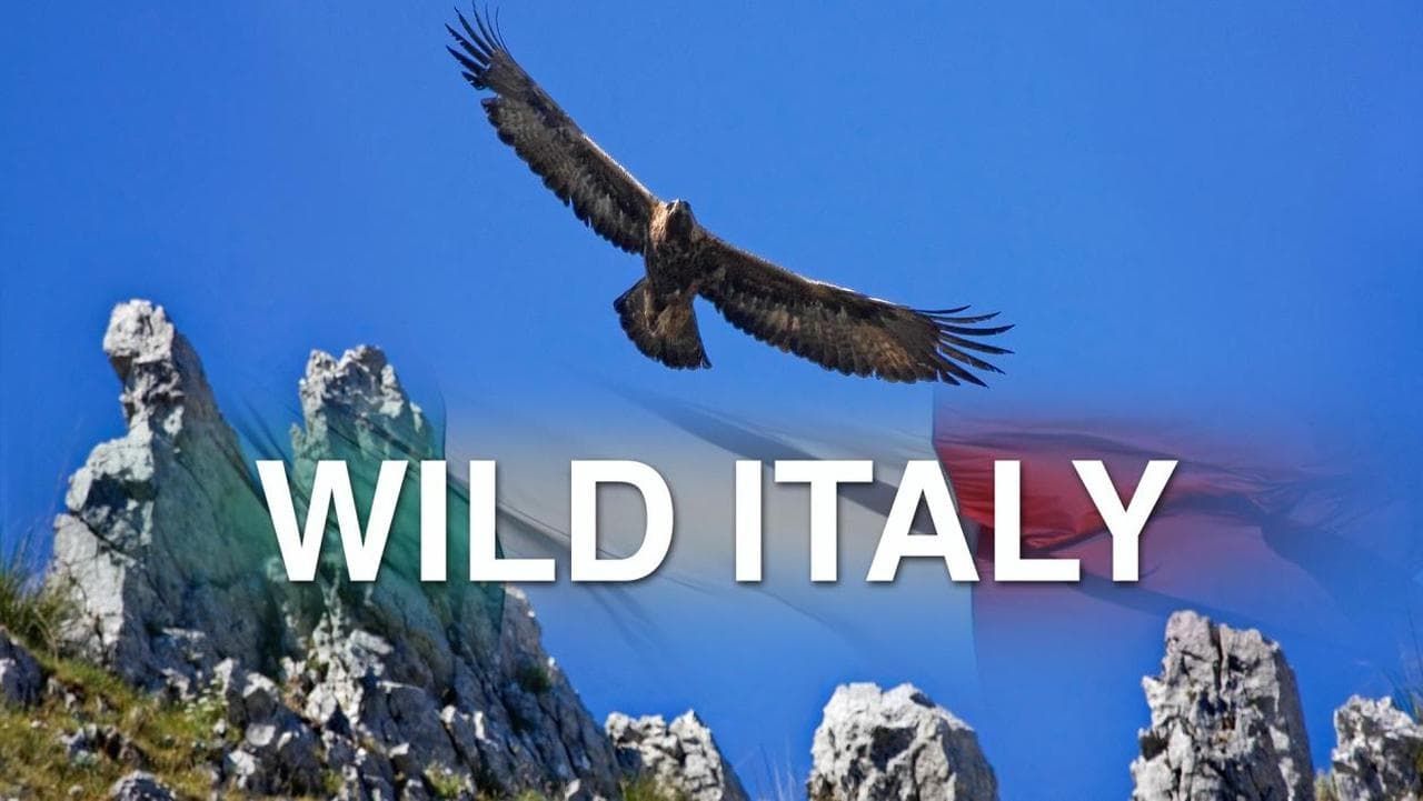 Cubierta de Wild Italy