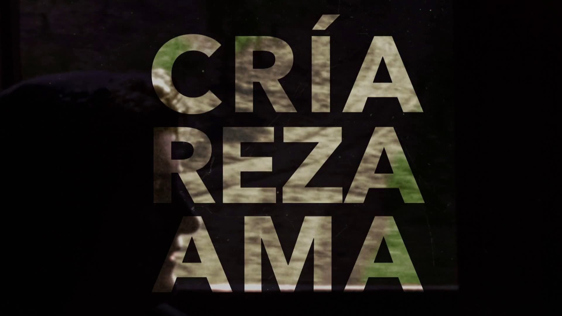 Cubierta de Cría, reza, ama