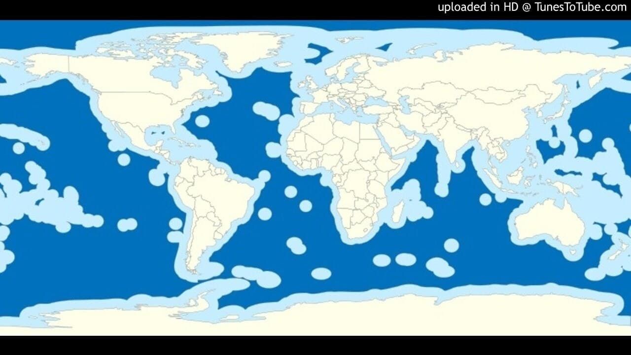 Cubierta de El monopolio del océano