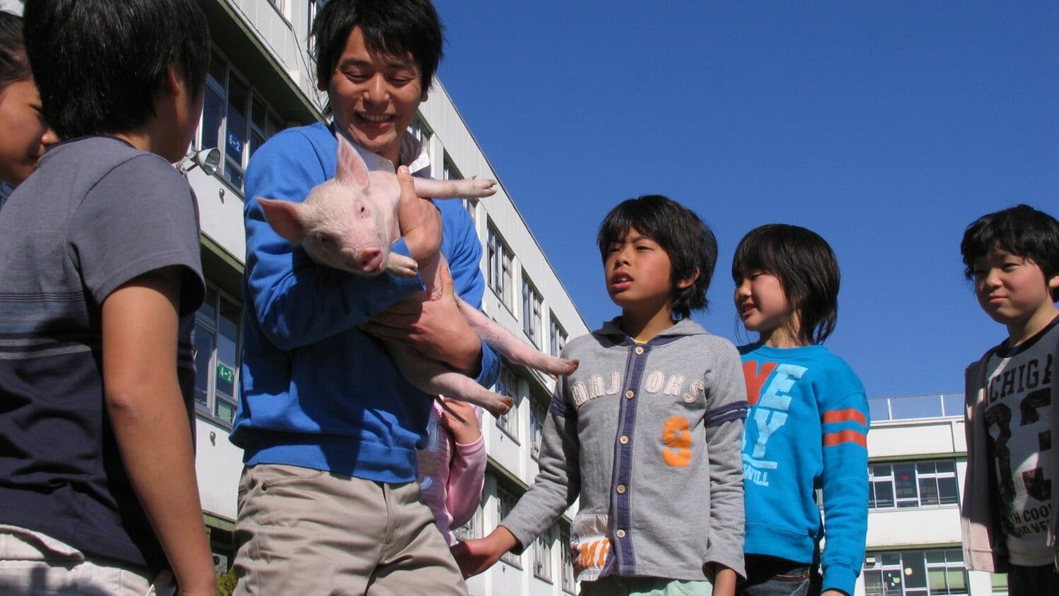 Cubierta de School Days with a Pig