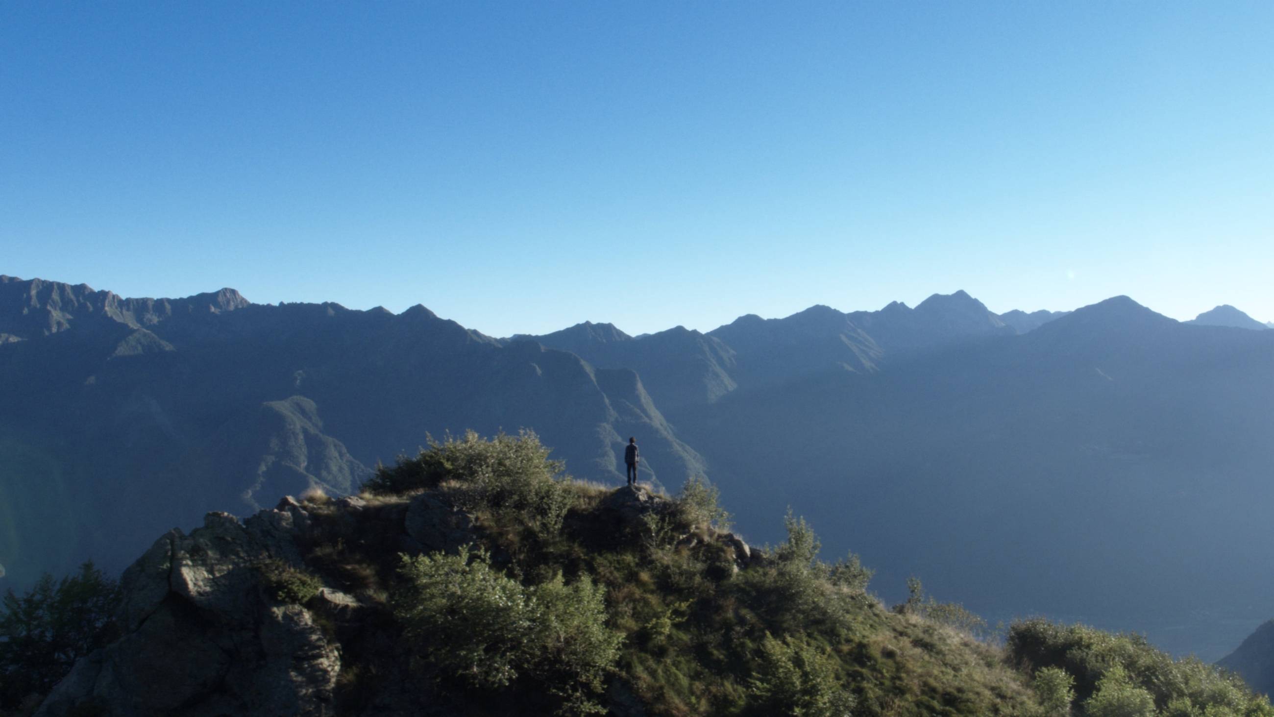 Cubierta de La terra buona