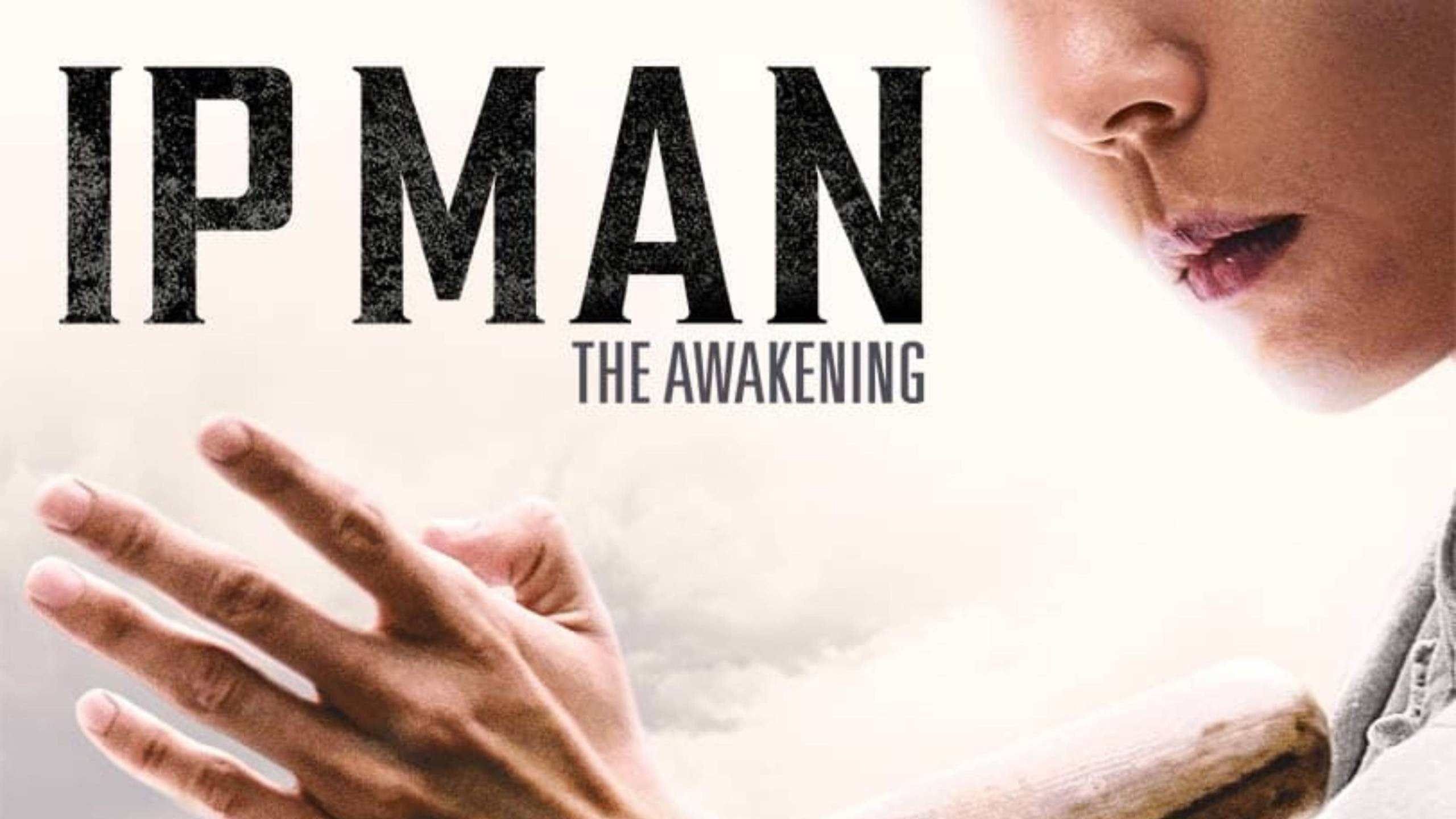 Cubierta de Ip Man: The Awakening