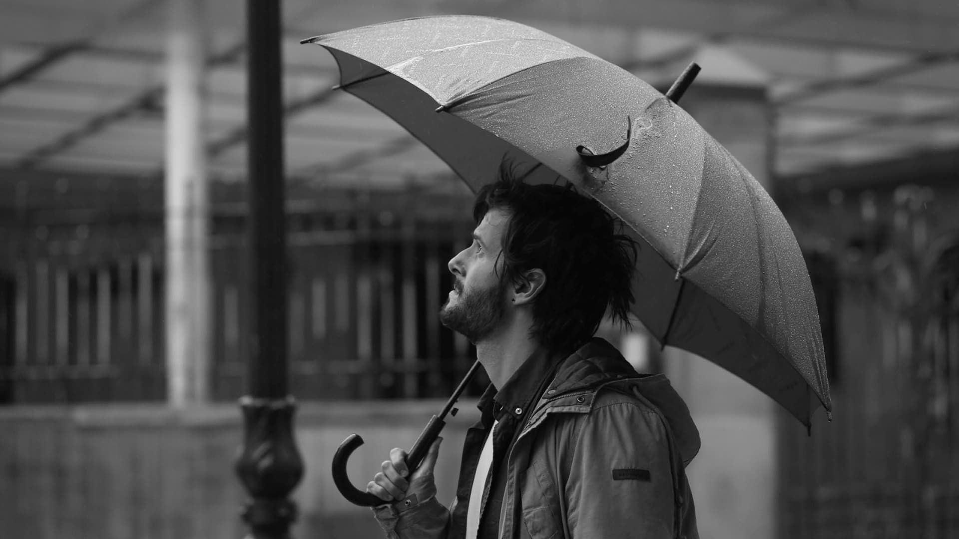 Cubierta de La quietud en la tormenta