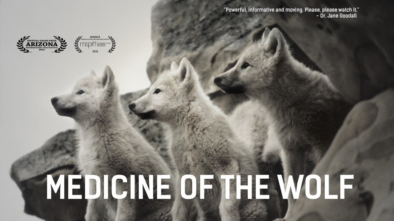 Cubierta de Medicine of the Wolf