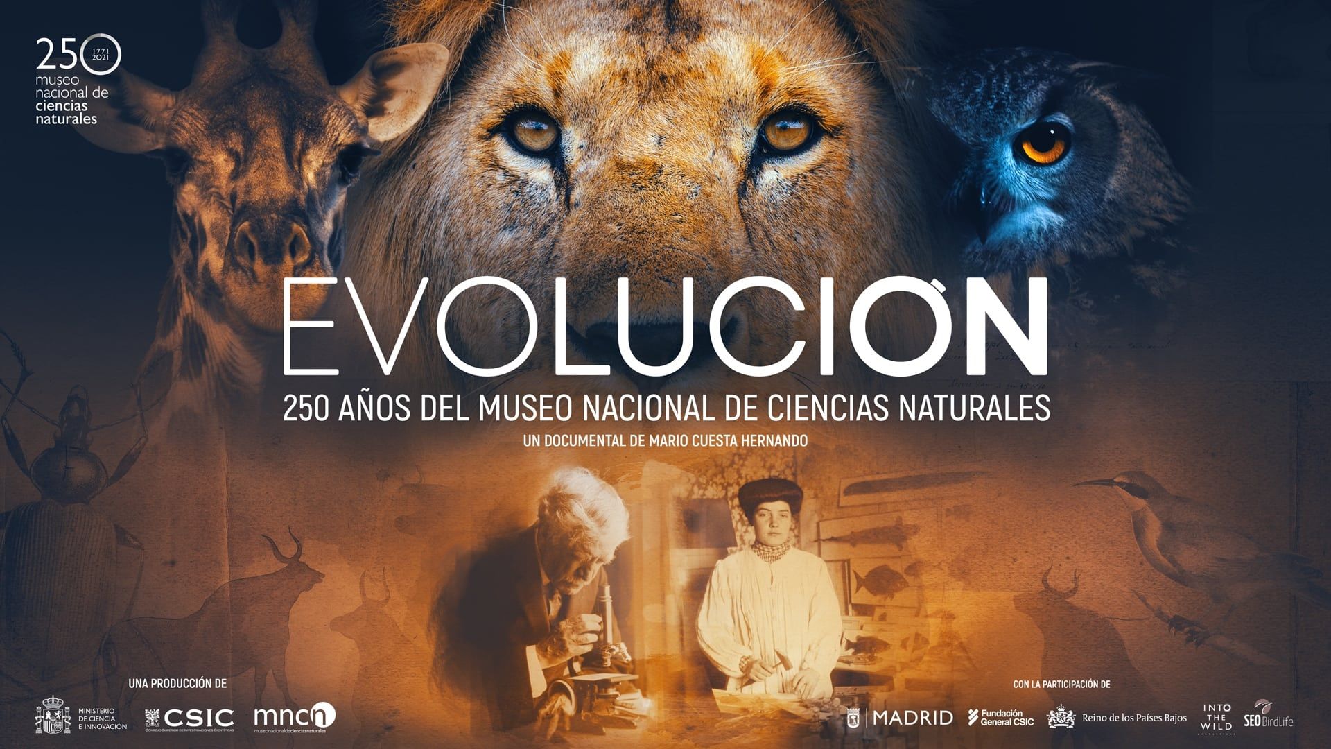 Cubierta de Evolución: 250 años del Museo Nacional de Ciencias Naturales