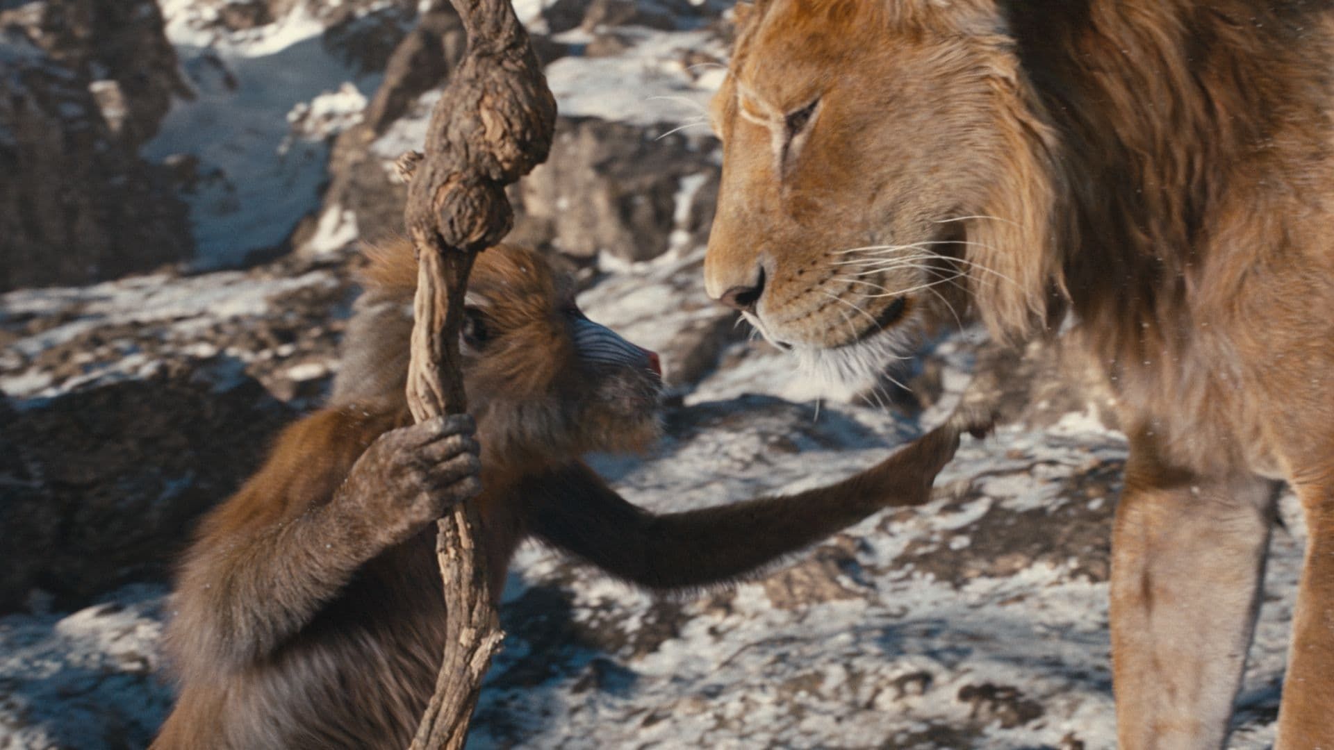 Cubierta de Mufasa: The Lion King