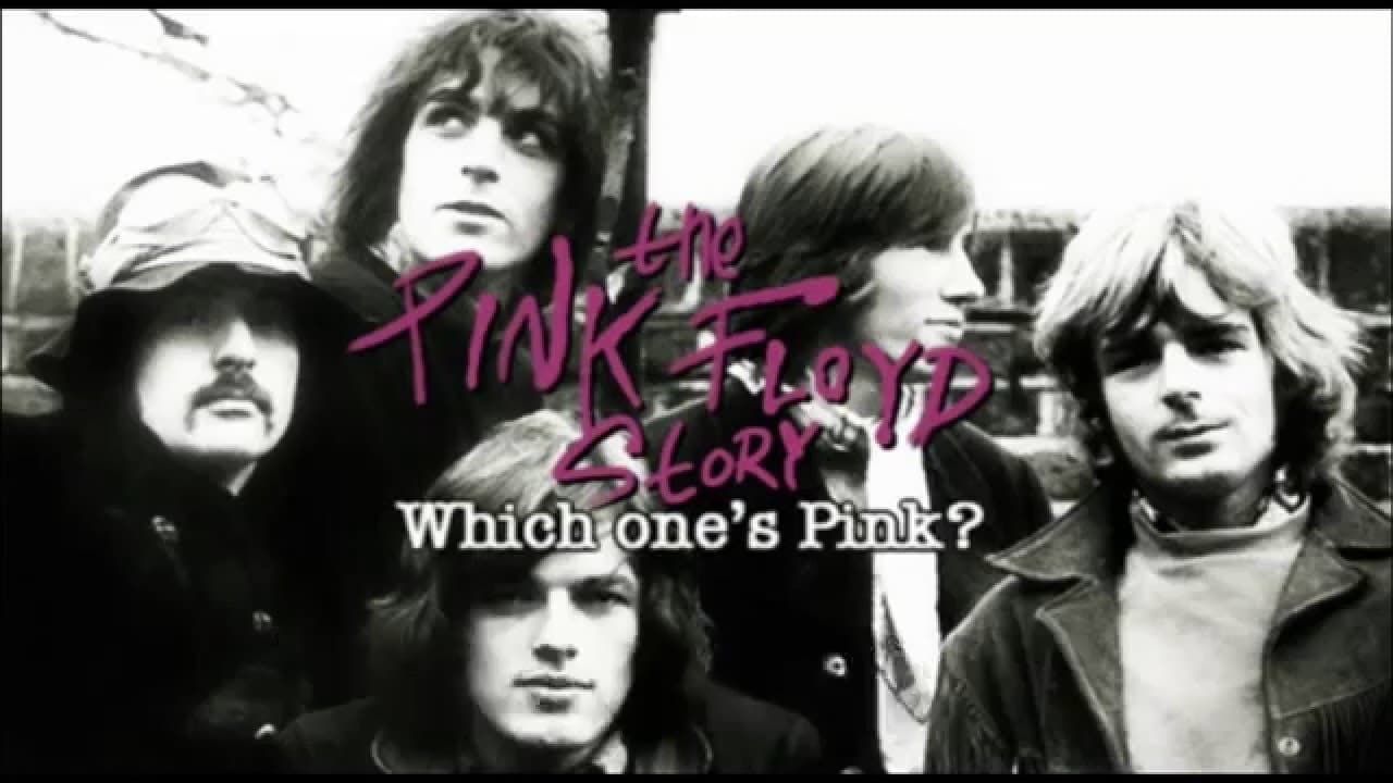 Cubierta de The Pink Floyd Story: Which One\'s Pink?