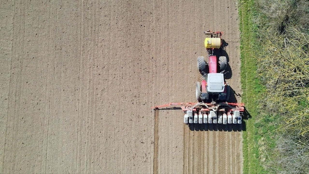 Cubierta de Insecticidas, licencia para matar