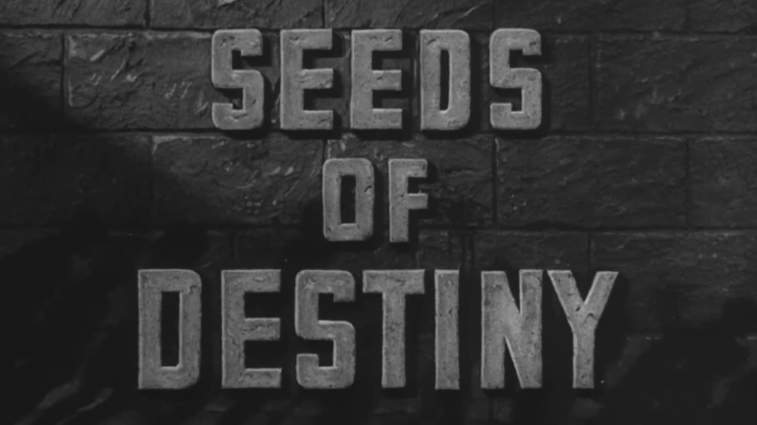 Cubierta de Seeds of Destiny (S)