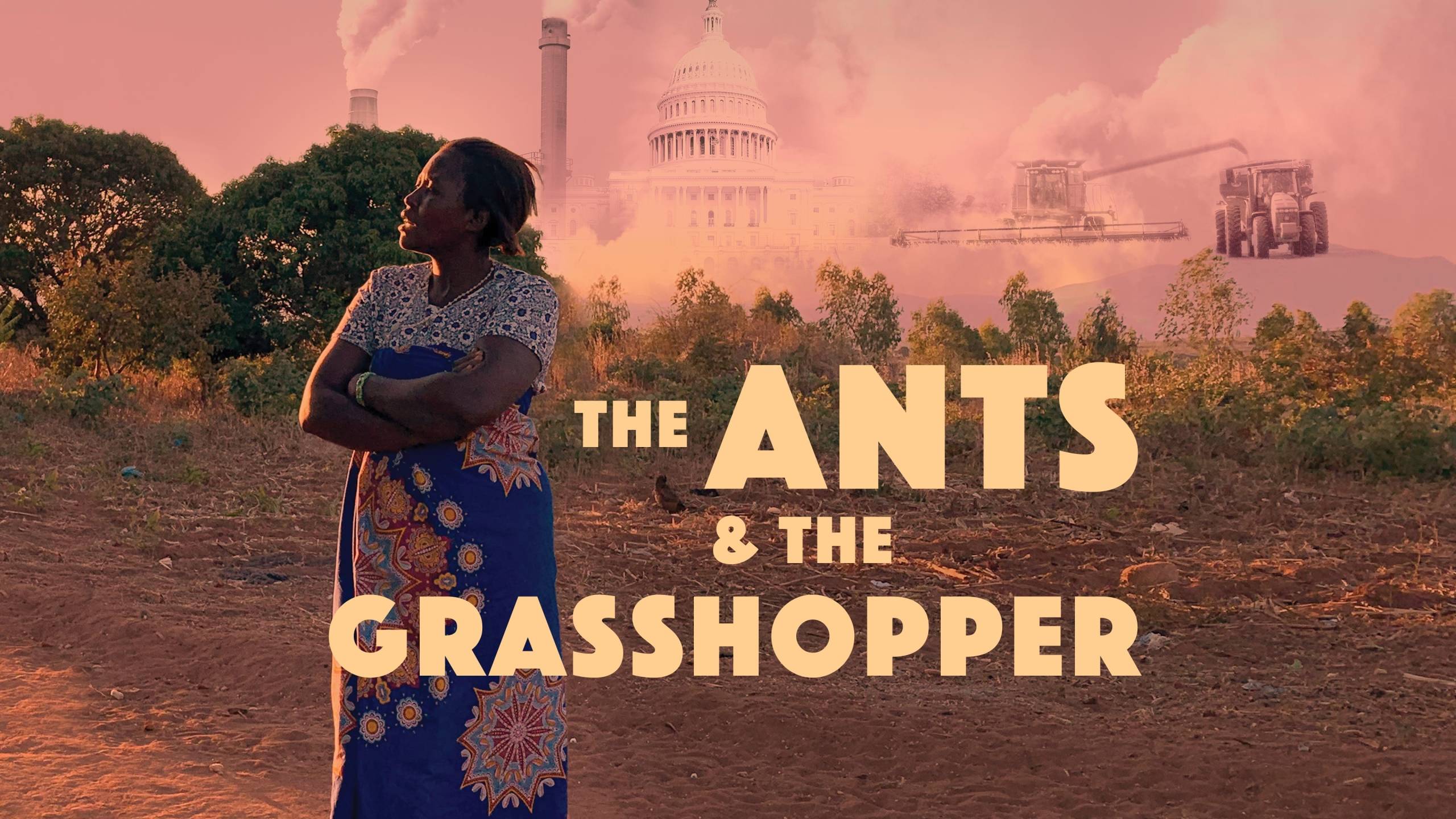 Cubierta de The Ants & the Grasshopper