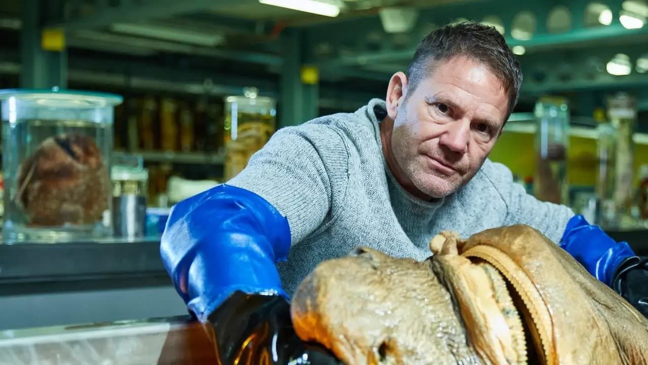 Cubierta de Shark with Steve Backshall