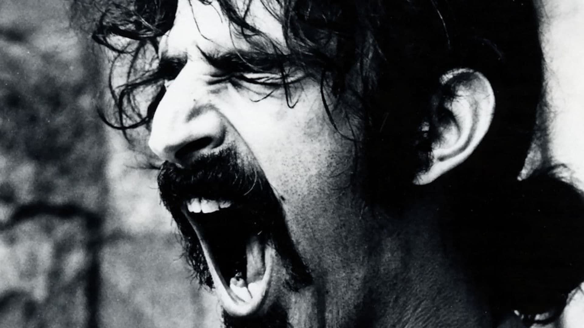 Cubierta de Frank Zappa: Does Humor Belong in Music?