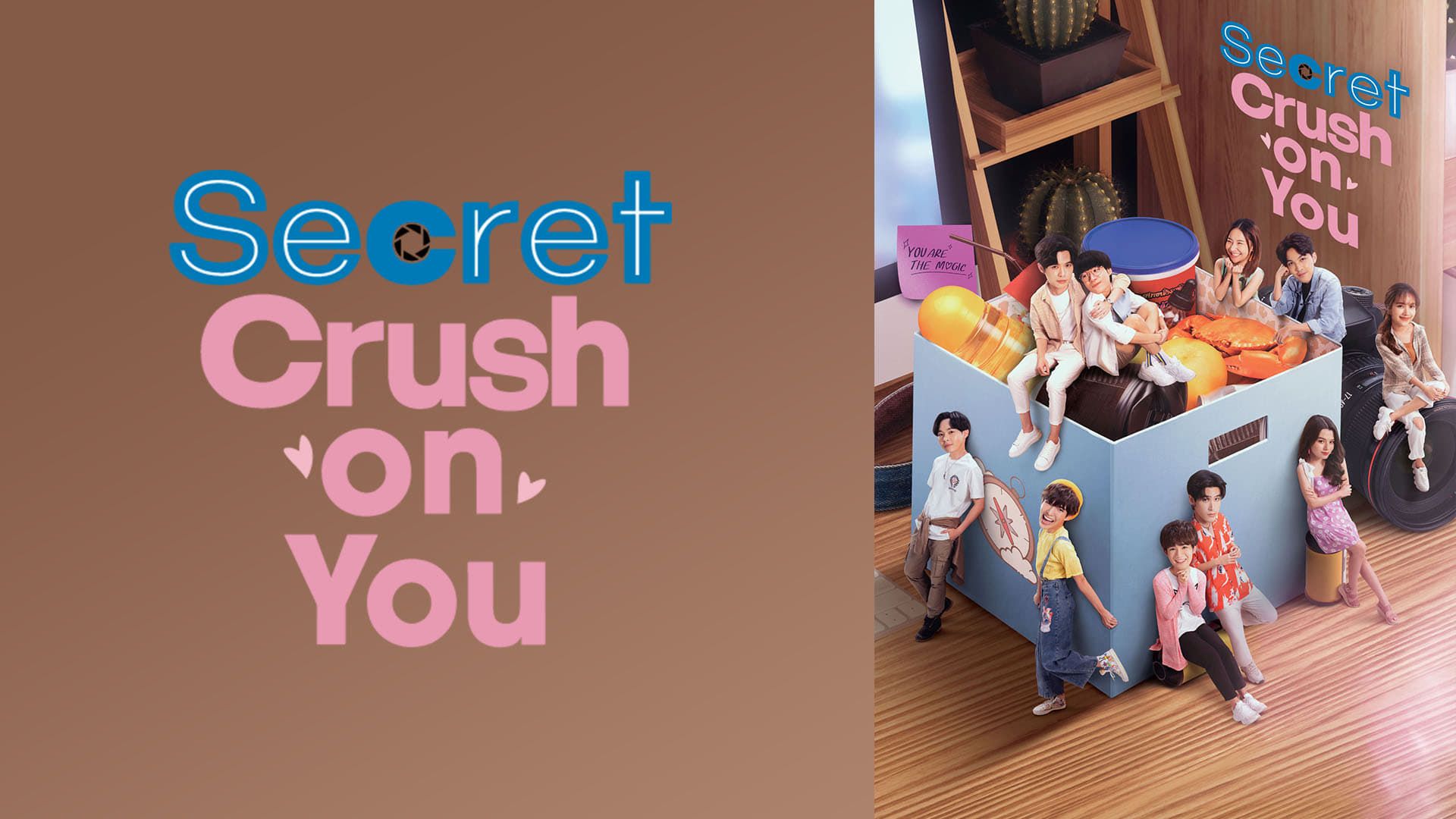 Cubierta de Secret Crush on You