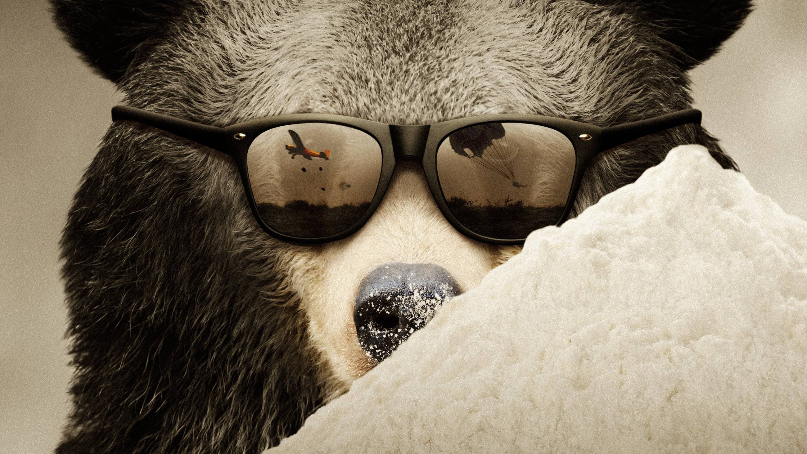 Cubierta de Cocaine Bear: The True Story