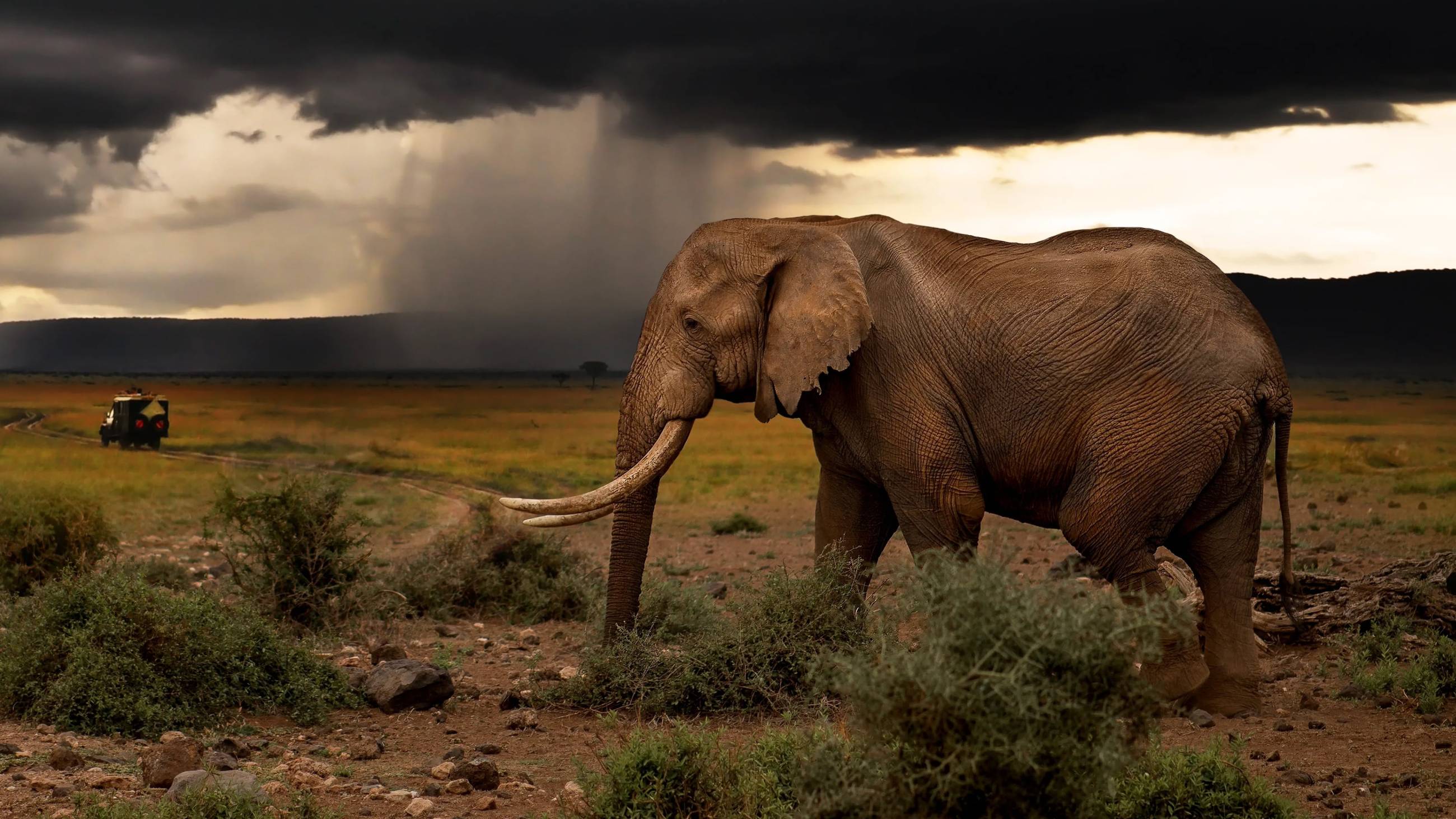 Cubierta de Chasing the Rains