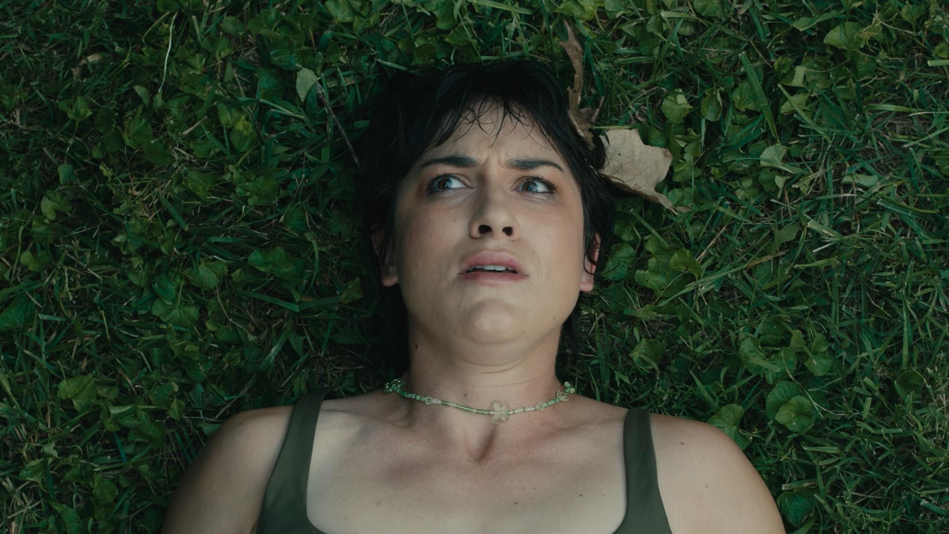 Cubierta de The Wild