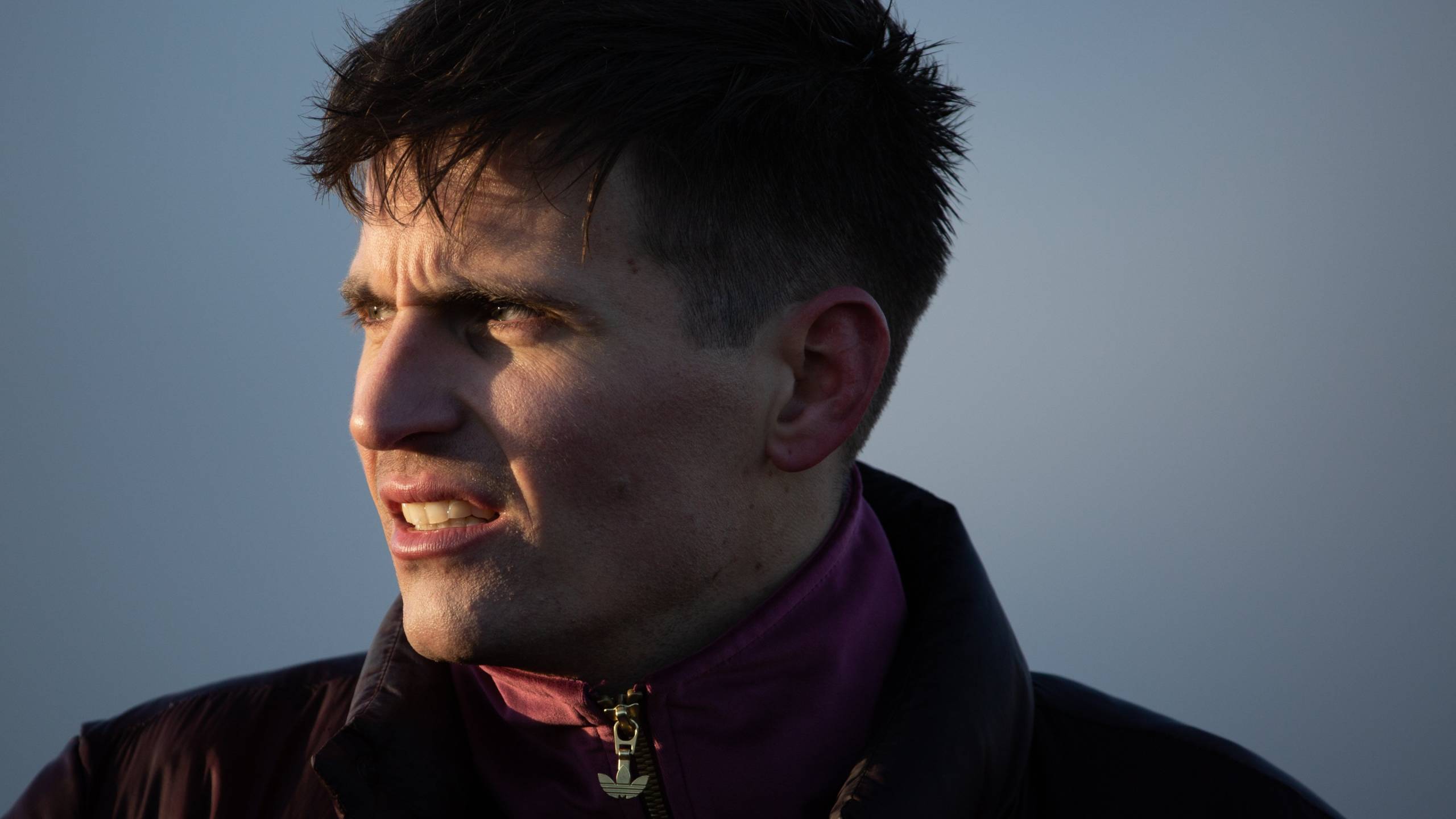 Cubierta de Perro feroz