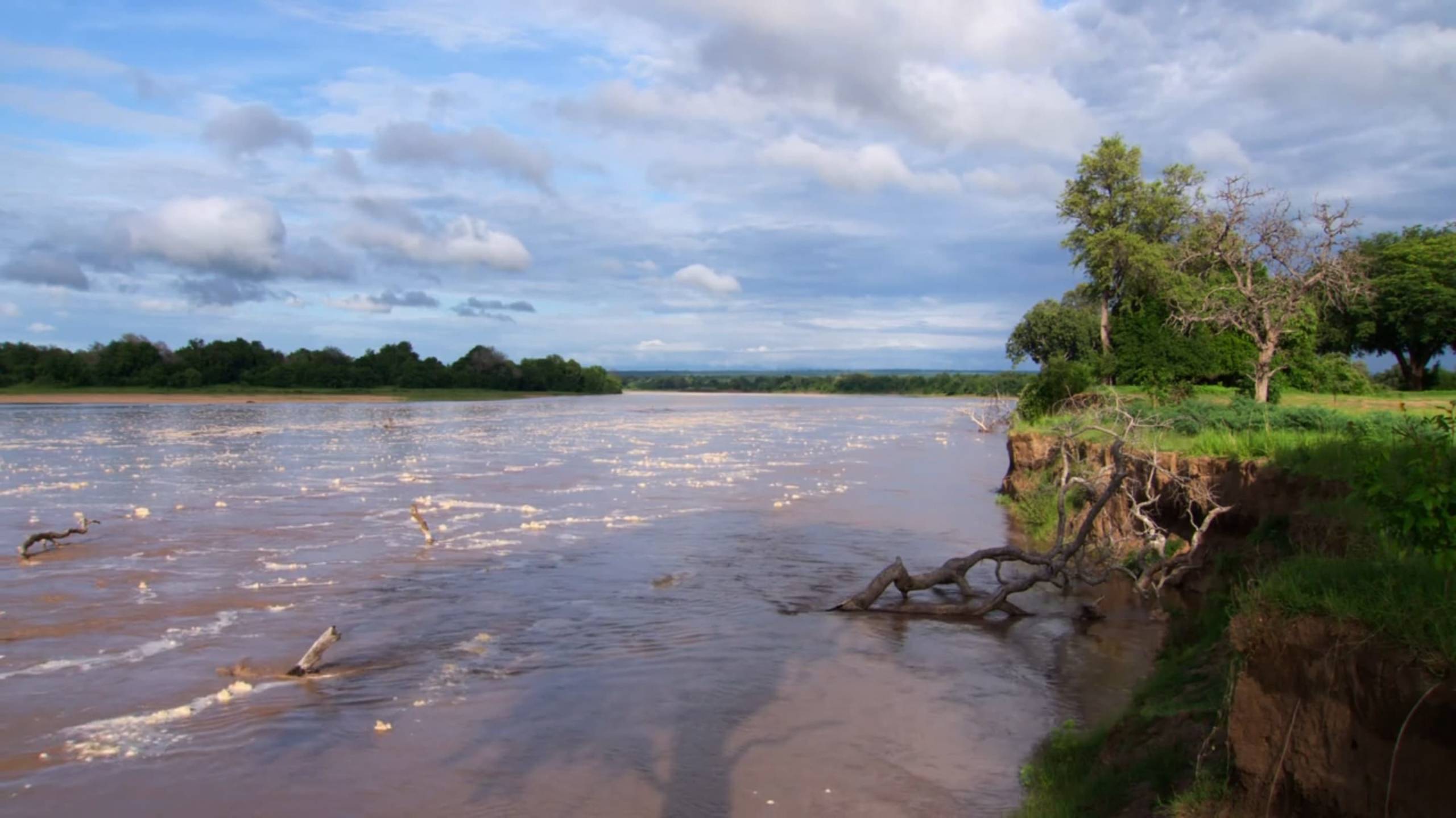 Cubierta de La vida en los ríos de África