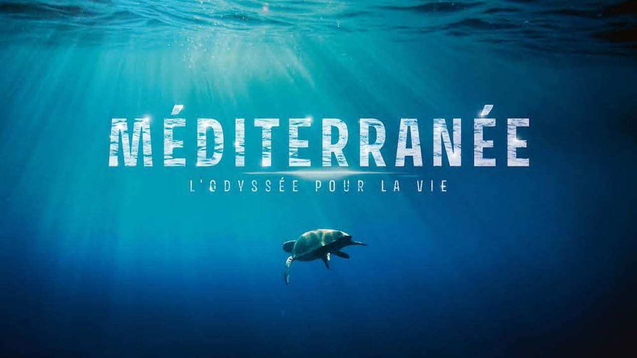 Cubierta de Mediterráneo: un mar en peligro