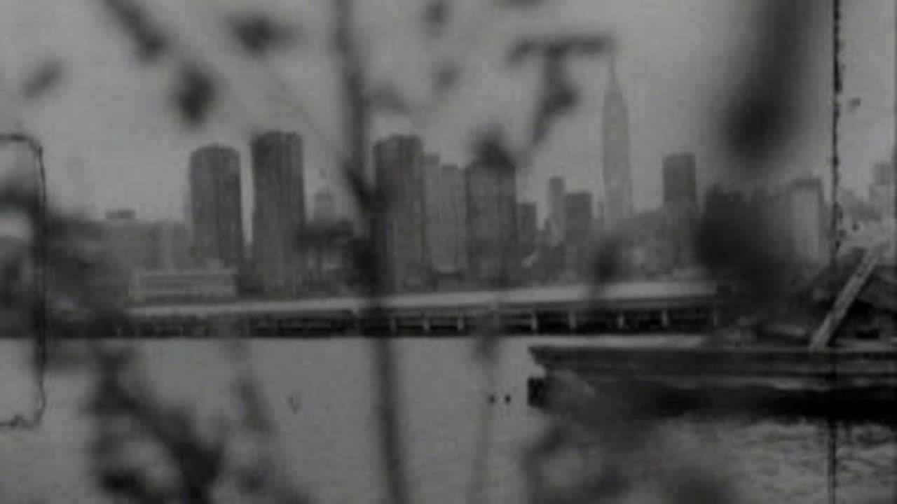 Cubierta de Long for the City (Patti Smith in New York)