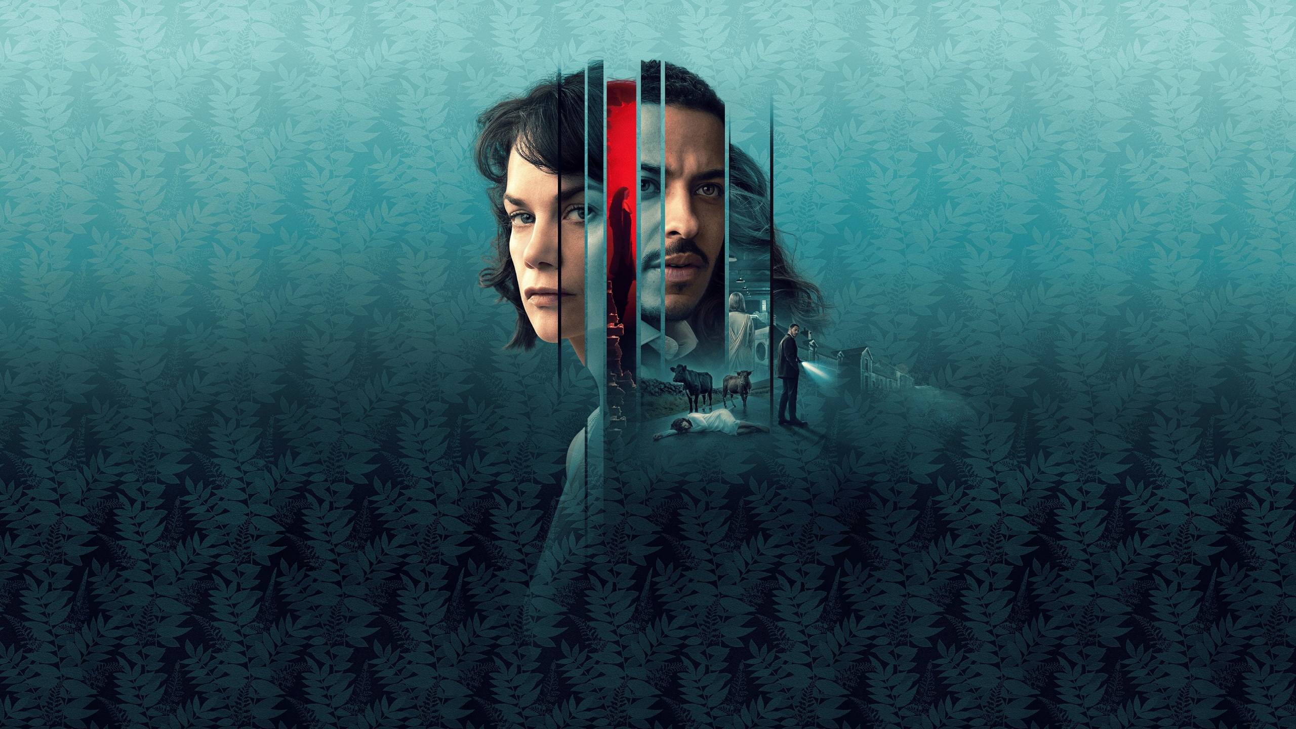 Cubierta de La mujer en la pared