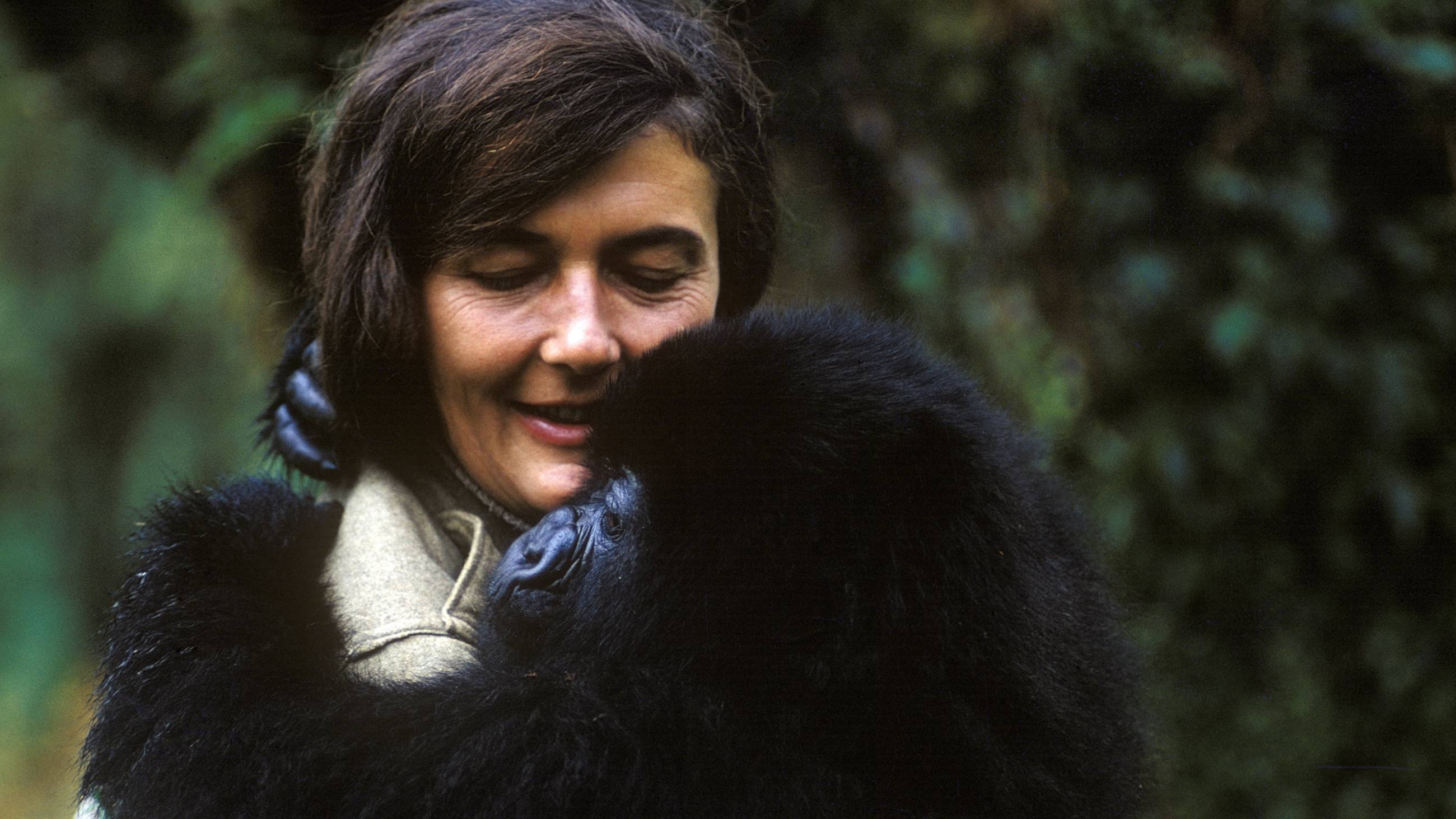 Cubierta de Dian Fossey: Secrets in the Mist