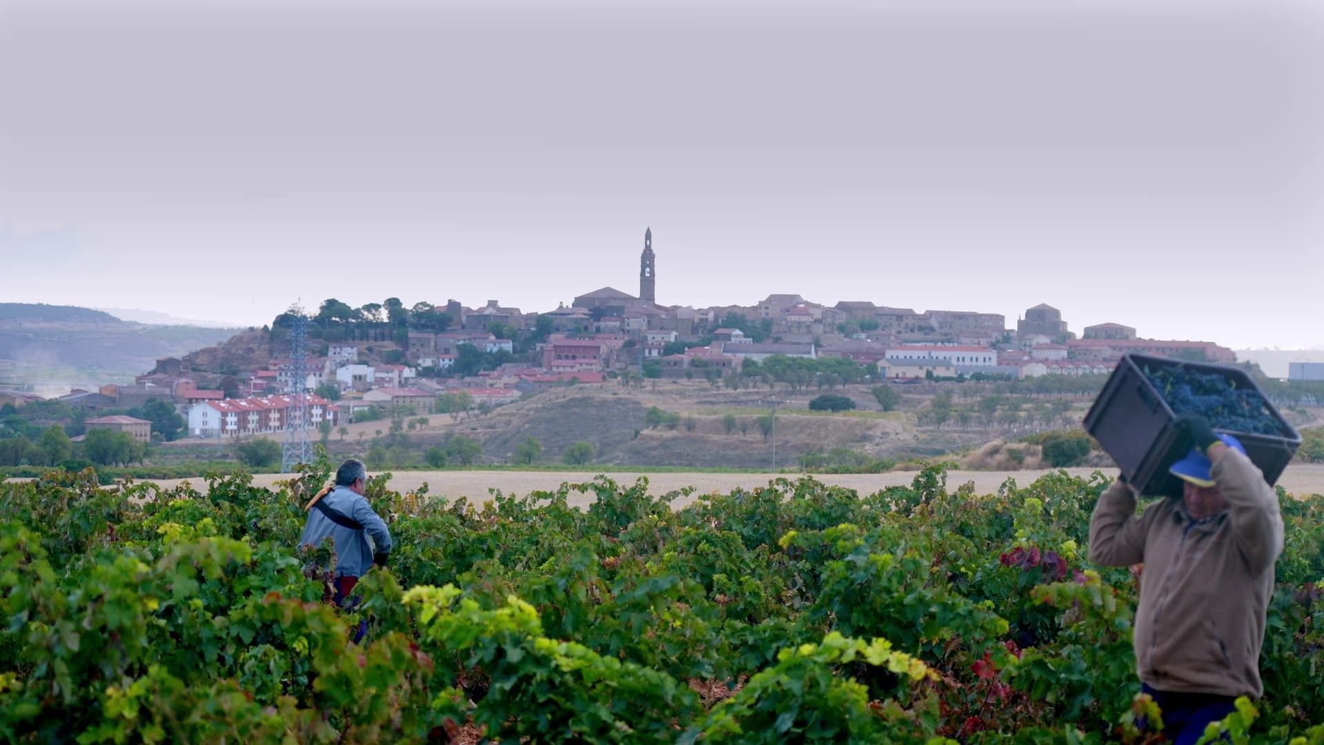 Cubierta de Rioja, la tierra de los mil vinos
