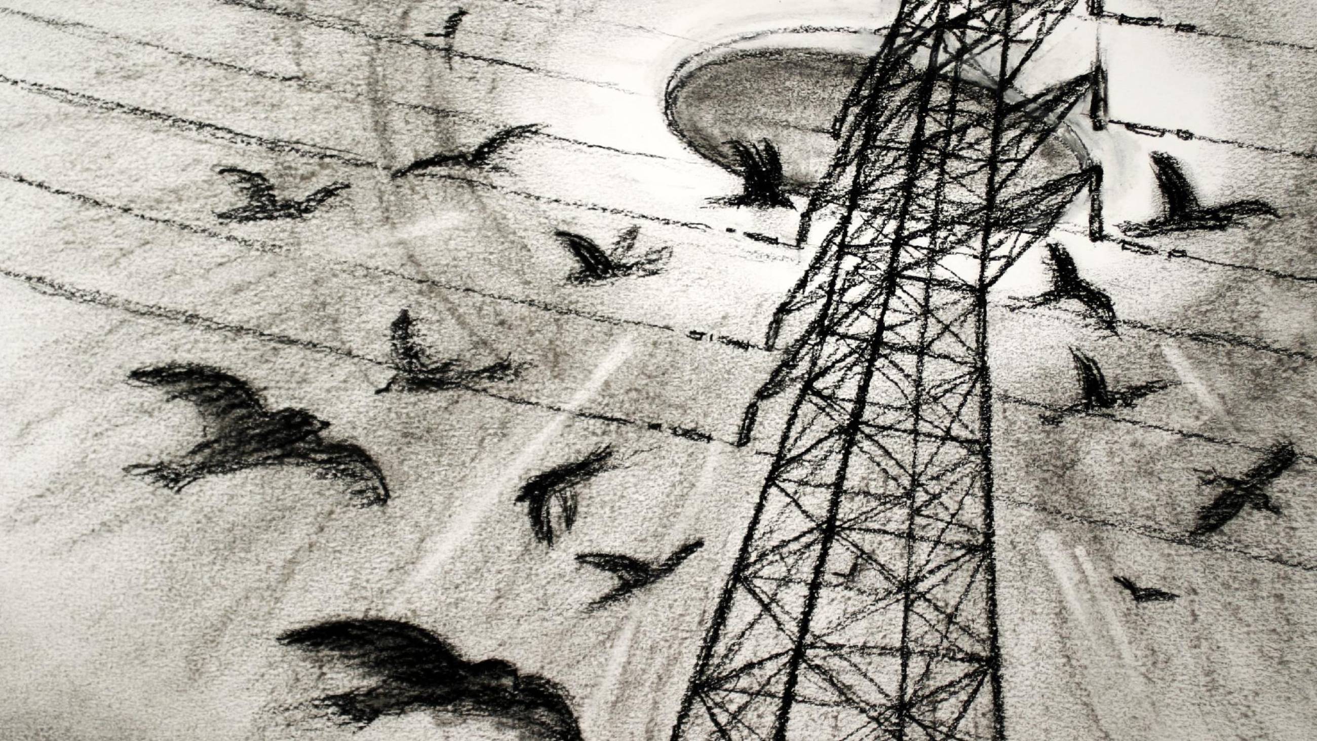 Cubierta de Westall \'66: A Suburban UFO Mystery