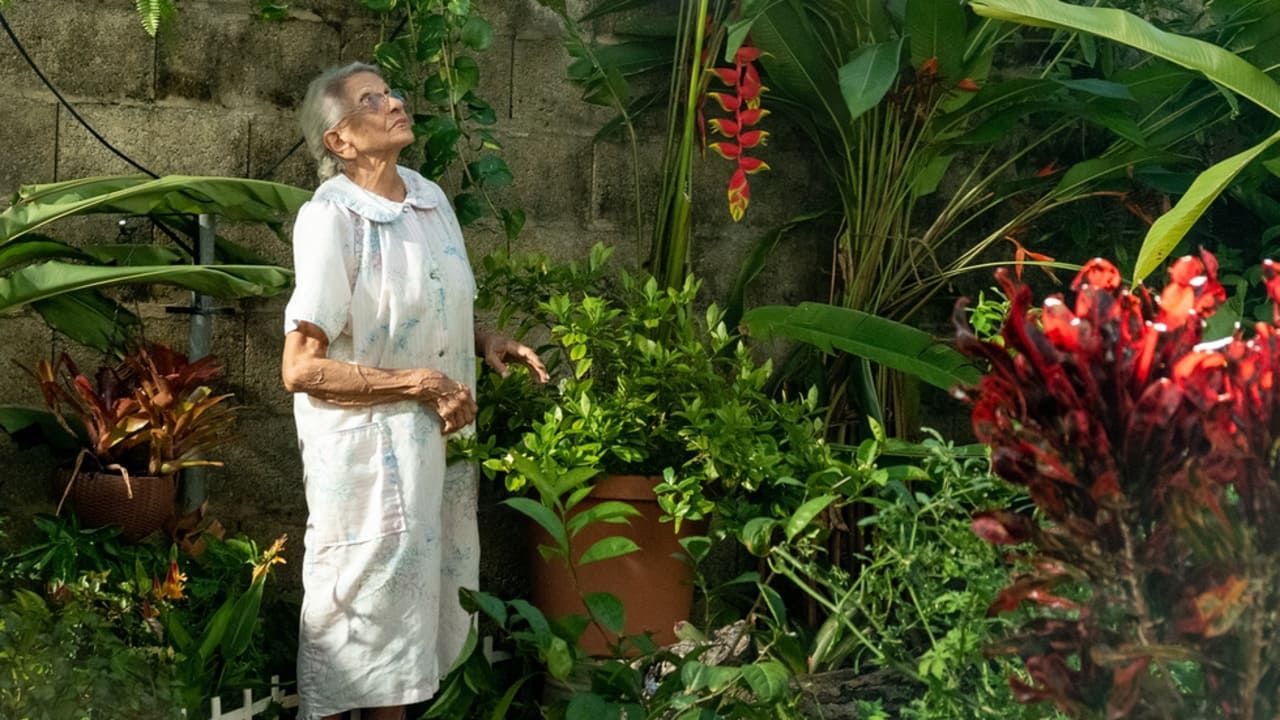 Cubierta de Perfume de gardenias