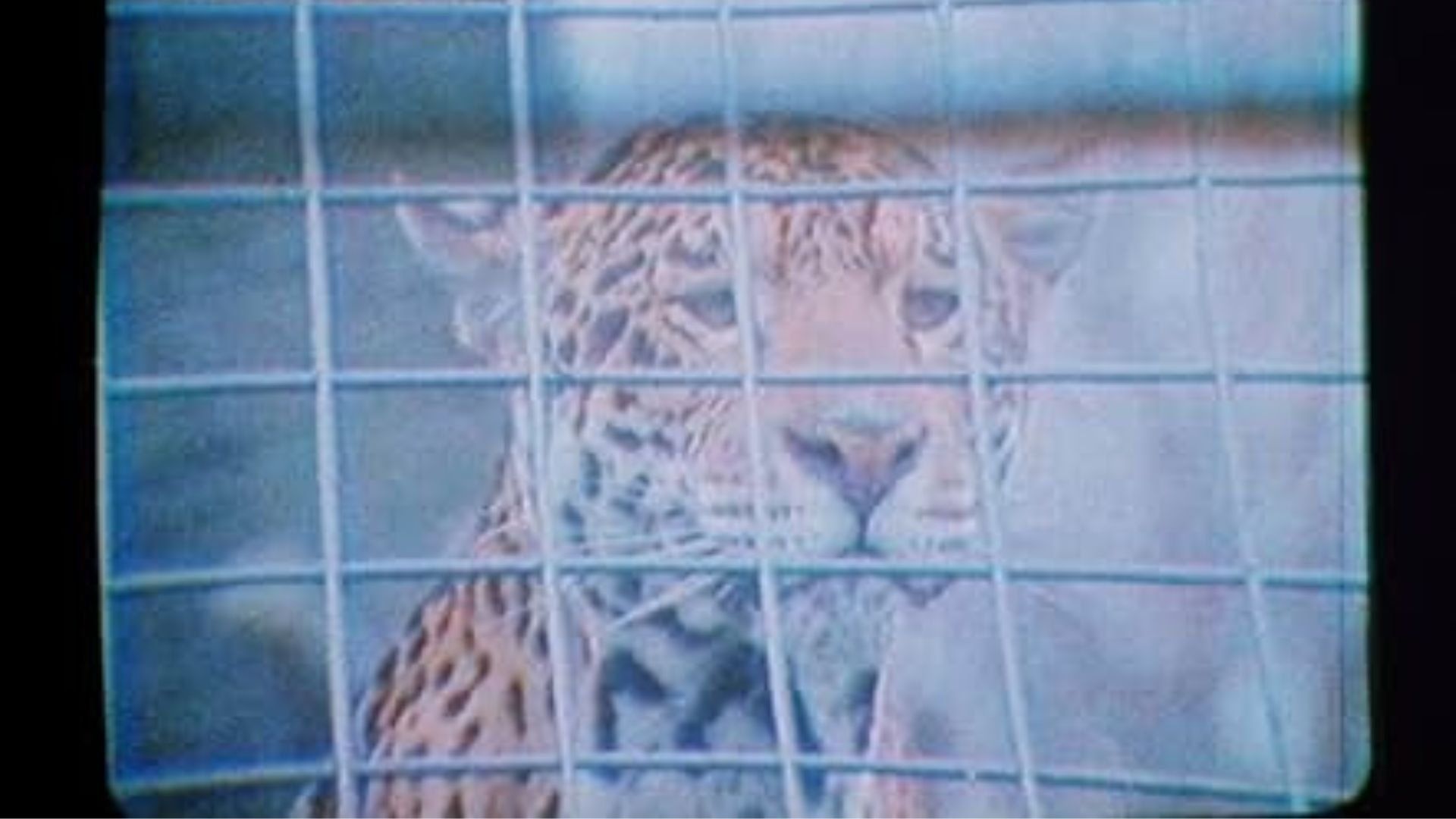 Cubierta de The Mark of Lilith