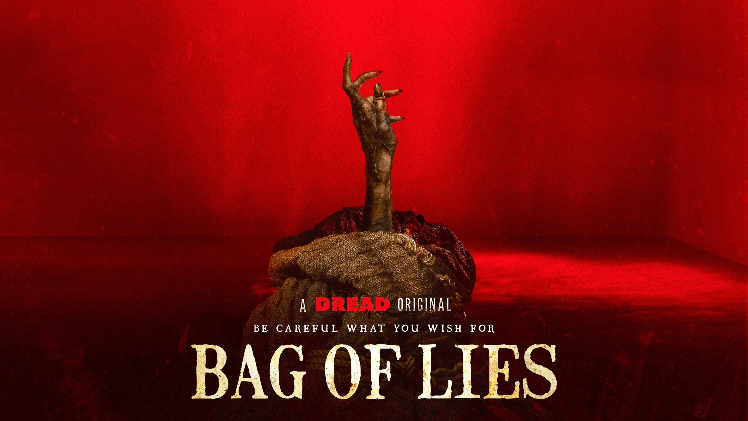 Cubierta de Bag of Lies