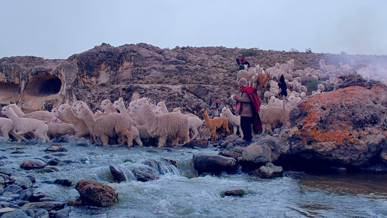 Cubierta de Pakucha