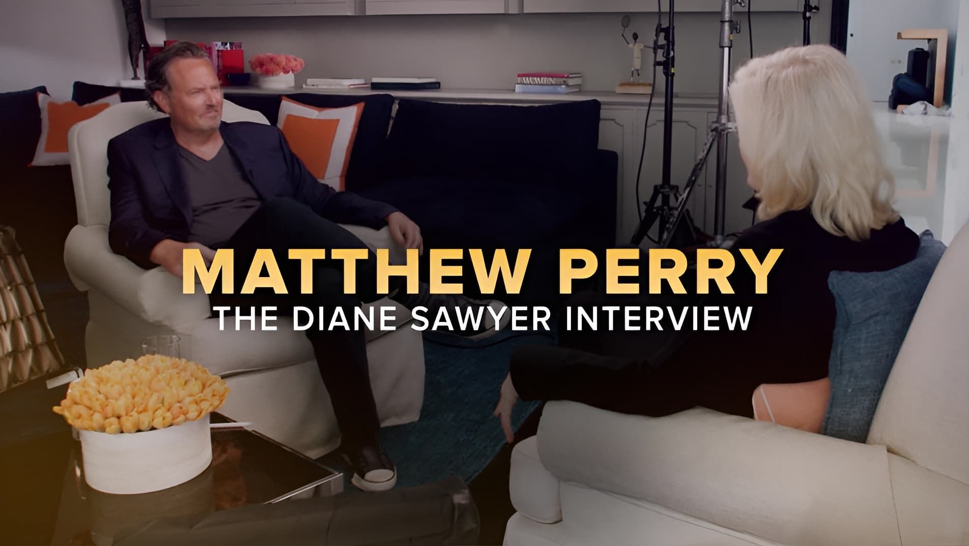 Cubierta de Matthew Perry: La entrevista de Diane Sawyer