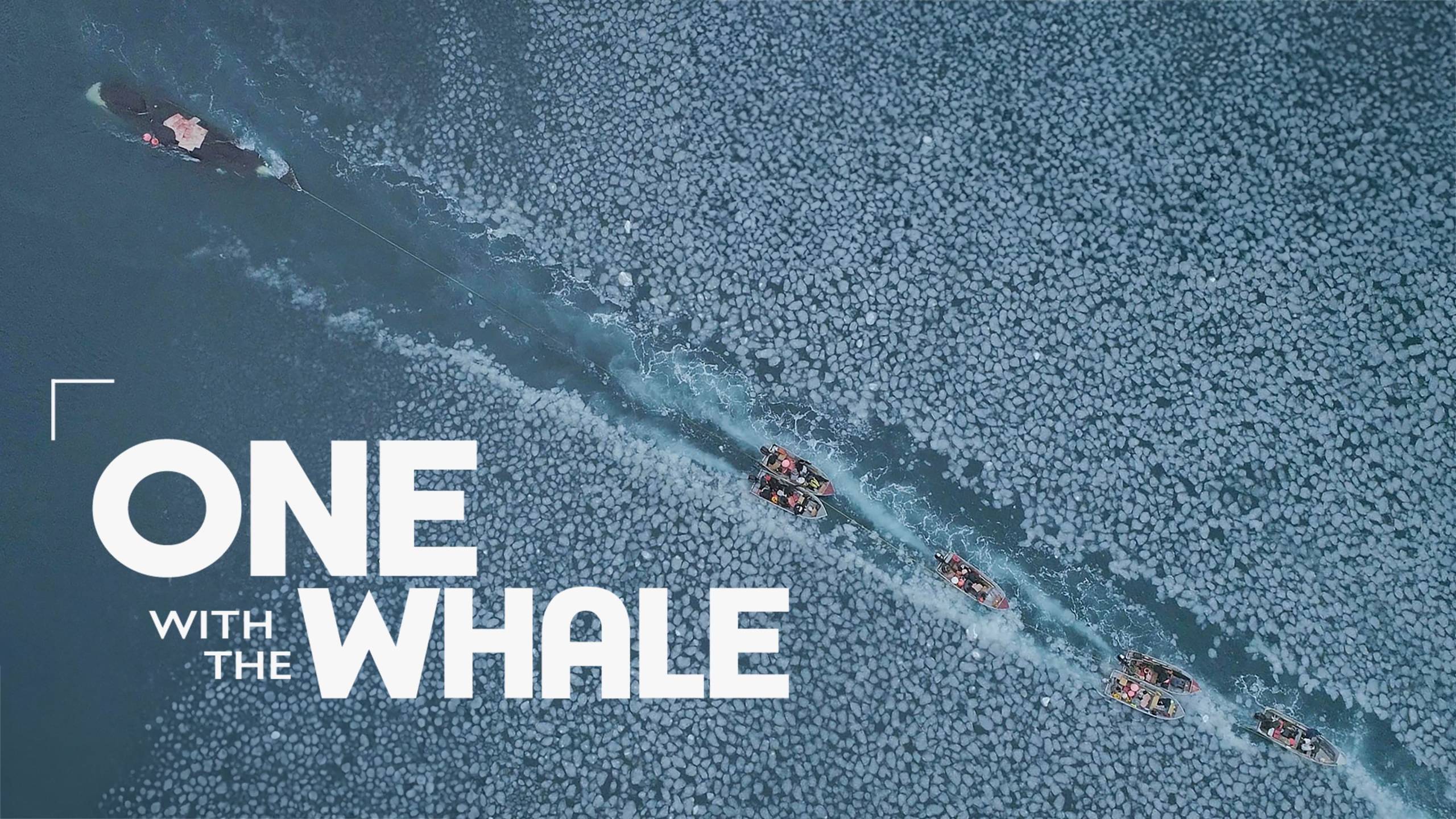 Cubierta de One with the Whale