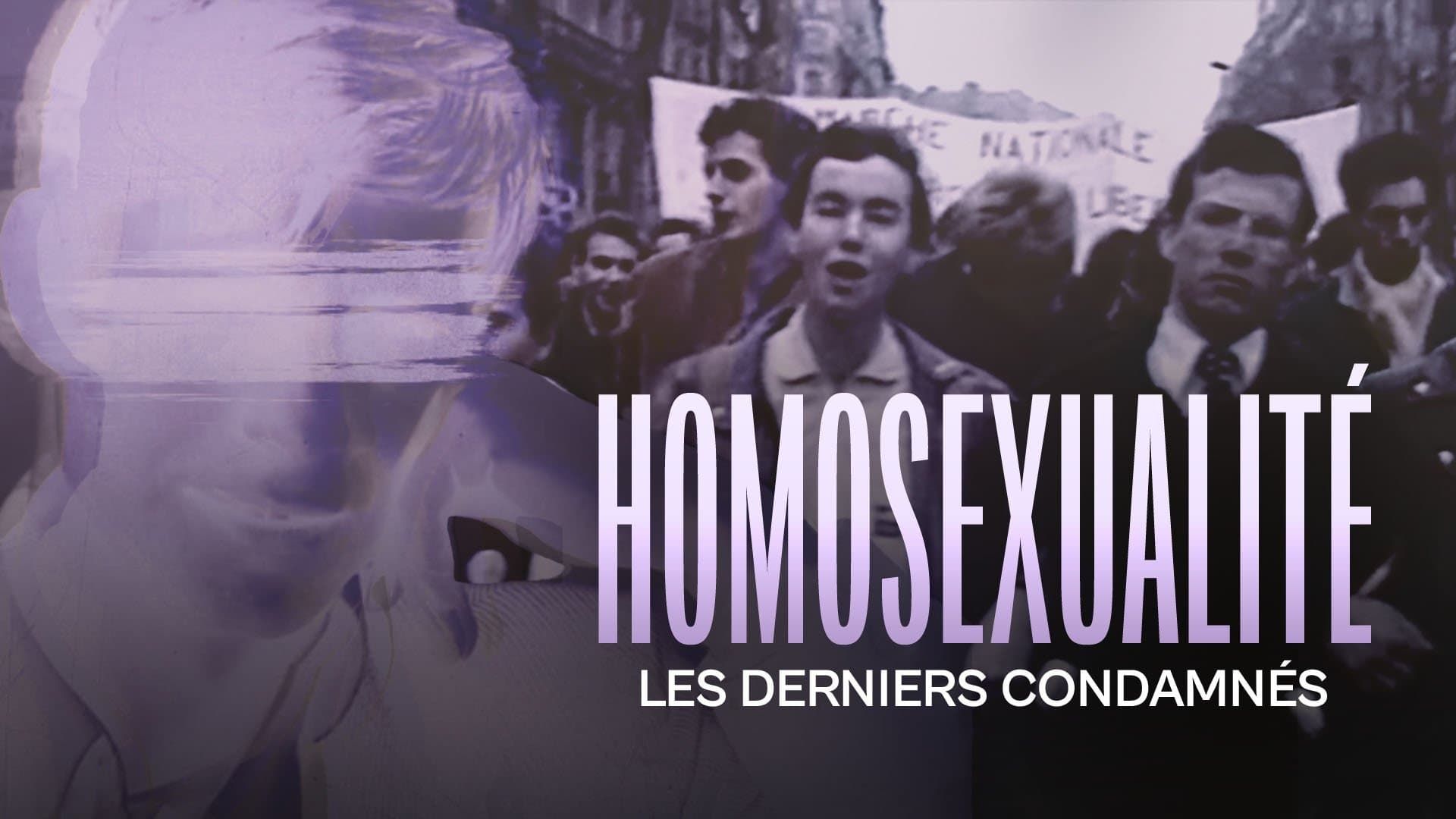 Cubierta de Homosexualité: Les derniers condamnés