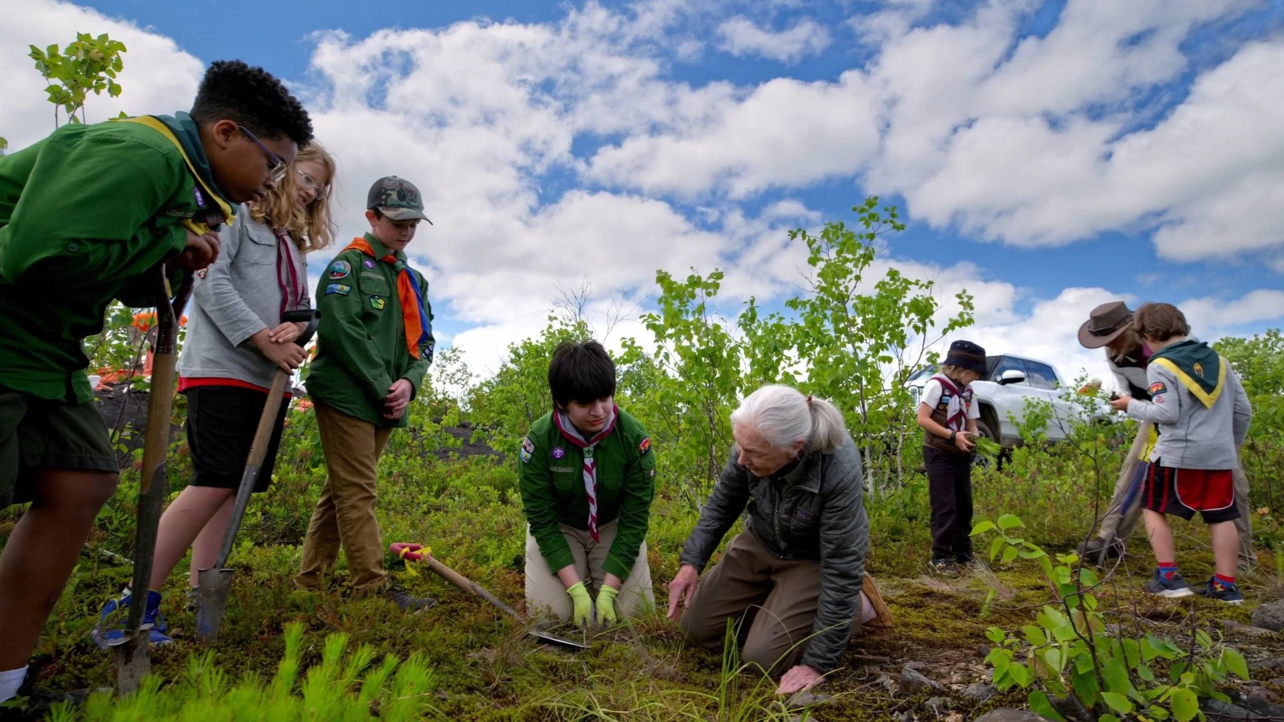 Cubierta de Jane Goodall: Reasons for Hope