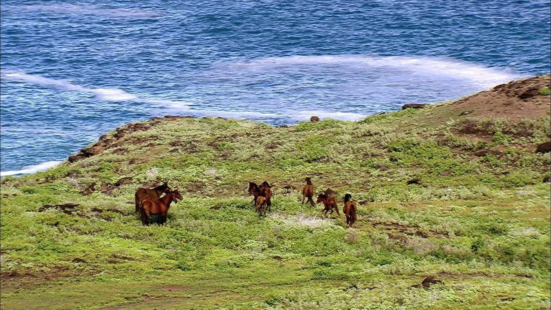 Cubierta de Las islas Marquesas, la polinesia francesa más salvaje