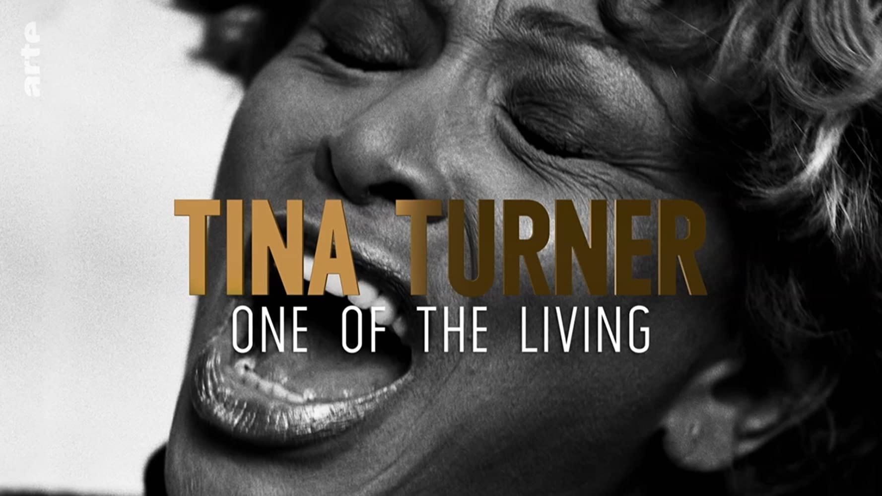 Cubierta de Tina Turner: One of the Living