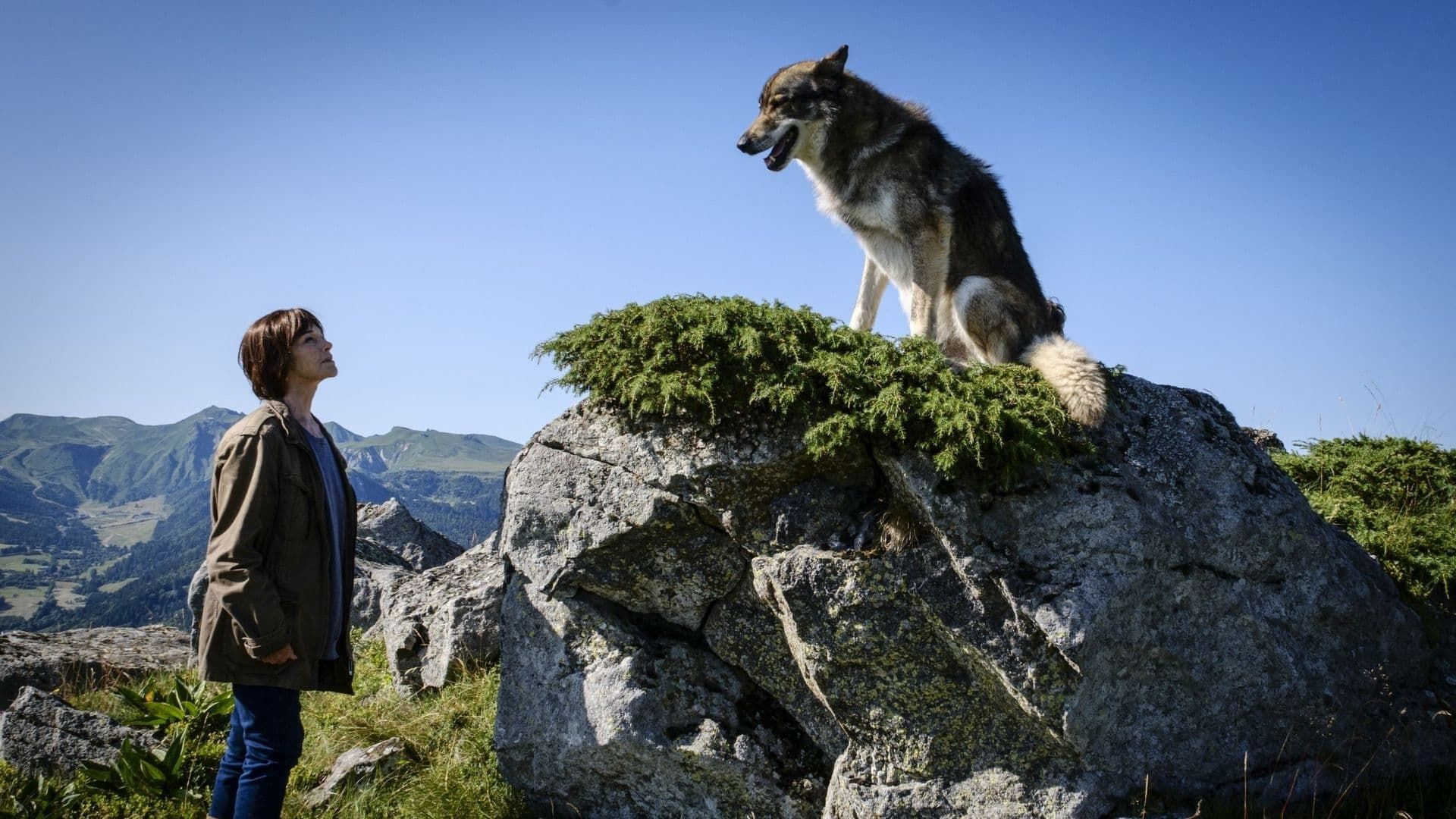 Cubierta de Asesinato en el Sancy