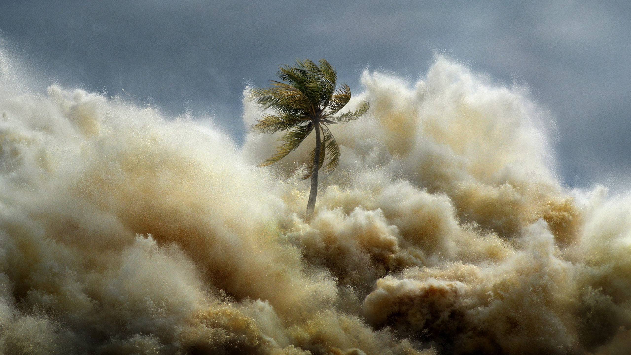 Cubierta de Tsunami: Carrera contra el tiempo