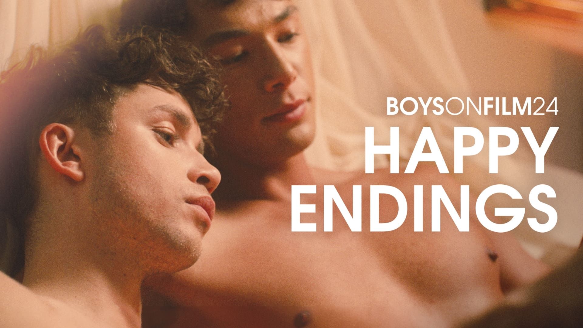 Cubierta de Boys on Film 24: Happy Endings