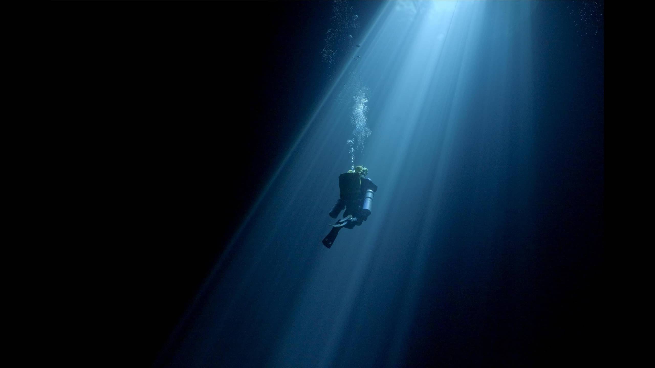 Cubierta de Diving Into the Darkness